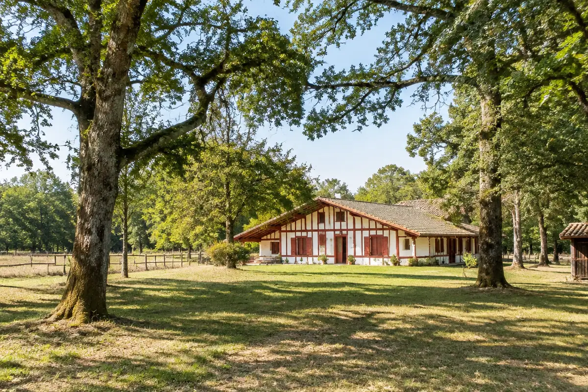 Pourquoi les maisons landaises possèdent-elles souvent un airial ?